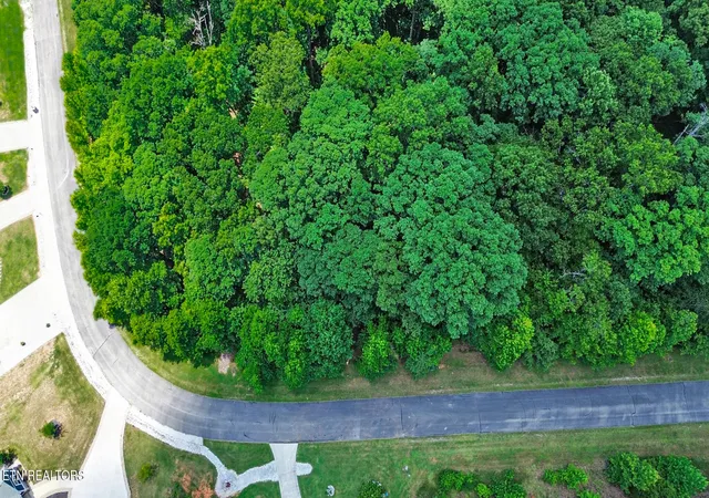 Homes for sale in Rockwood, TN | Lot 216 Reuben Ridge Rd, Rockwood, TN 37854 | MLS# 1346779