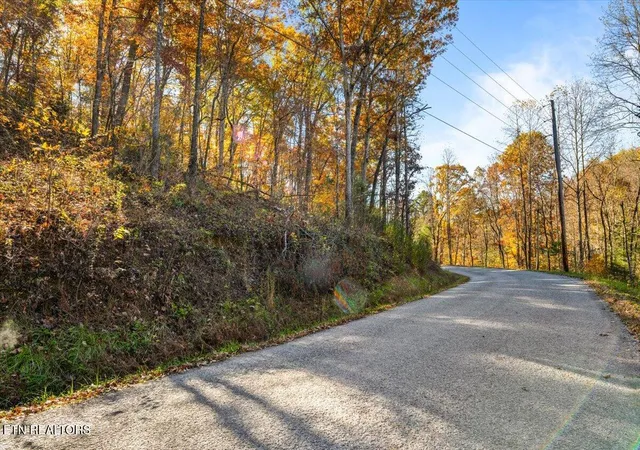 4th image of Tract 1 E Dogwood Tr, La Follette, TN 37766 | MLS# 1346774