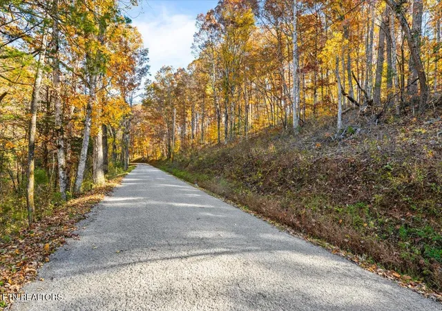5th image of Tract 1 E Dogwood Tr, La Follette, TN 37766 | MLS# 1346774