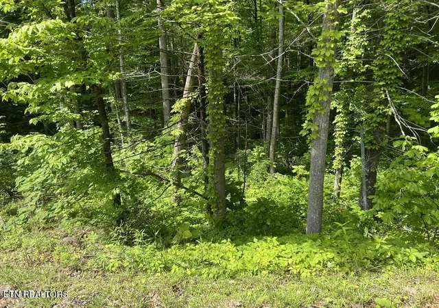 5th image of Lot 3 Old Cartertown Rd, Gatlinburg, TN 37738 | MLS# 1347129