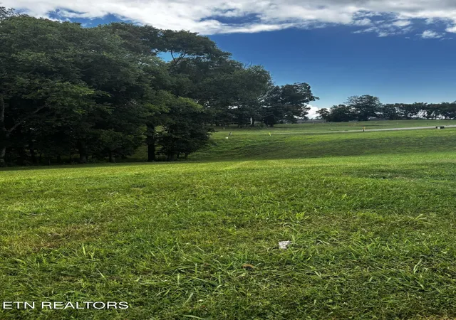 image of 3964 Persimmon Ridge, Loudon, TN 37774 | MLS# 1347169