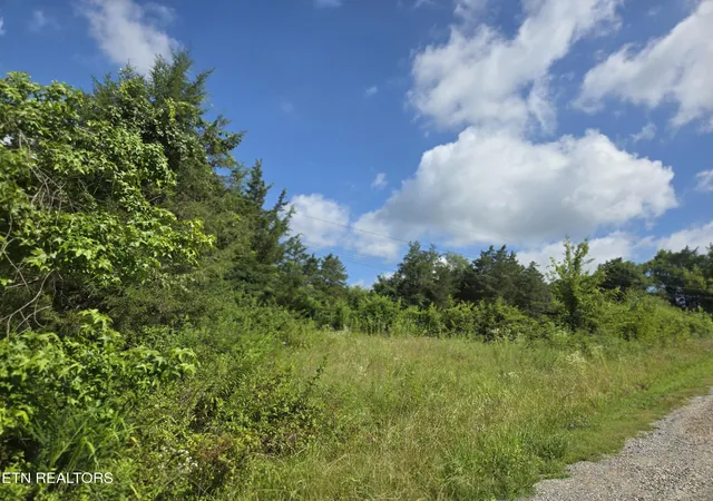 Homes for sale in New Market, TN | 1882 Hwy 25 70, New Market, TN 37820 | MLS# 1347688