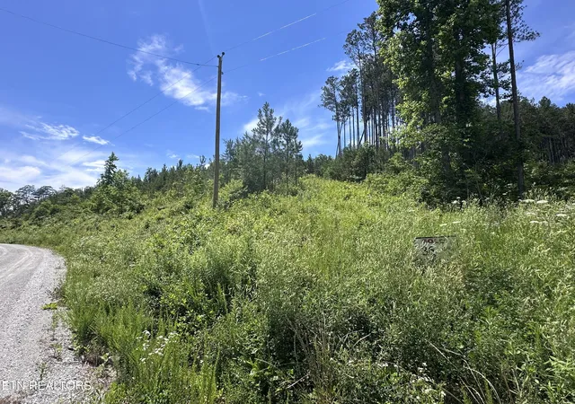 14th image of Lot 35 Winding Tr, Vonore, TN 37885 | MLS# 1346822