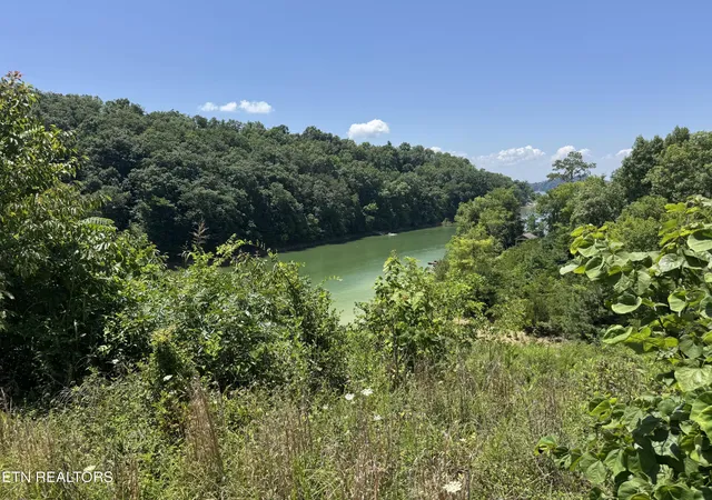 Homes for sale in Dandridge, TN | Lot 30 Stone Shore Wy, Dandridge, TN 37725 | MLS# 1346844