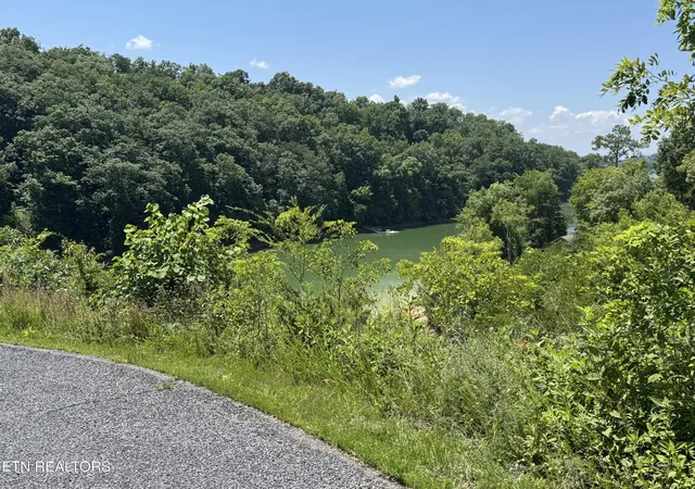 Homes for sale in Dandridge, TN | Lot 30 Stone Shore Wy, Dandridge, TN 37725 | MLS# 1346844