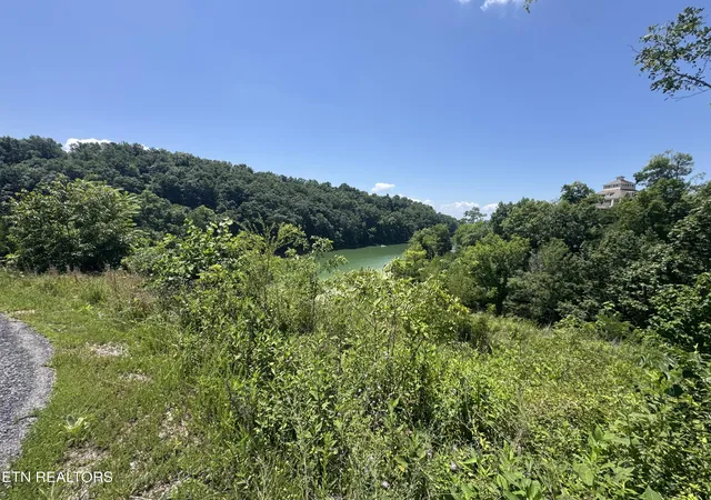 Homes for sale in Dandridge, TN | Lot 30 Stone Shore Wy, Dandridge, TN 37725 | MLS# 1346844