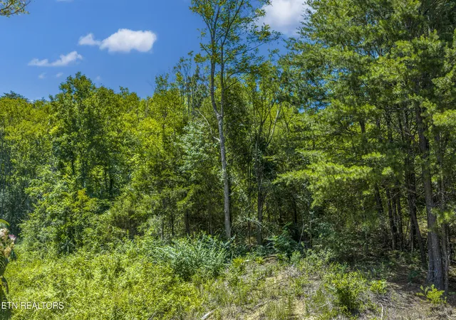 39th image of Raejon Wy, Sevierville, TN 37862 | MLS# 1346870