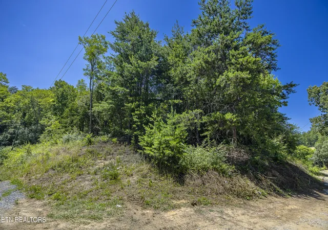 4th image of Raejon Wy, Sevierville, TN 37862 | MLS# 1346870
