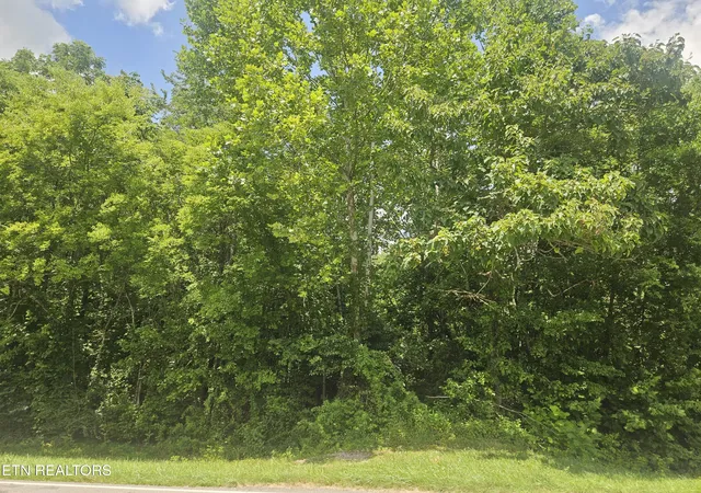 Homes for sale in Philadelphia, TN | Loudon Rd #239, Philadelphia, TN 37846 | MLS# 1346899