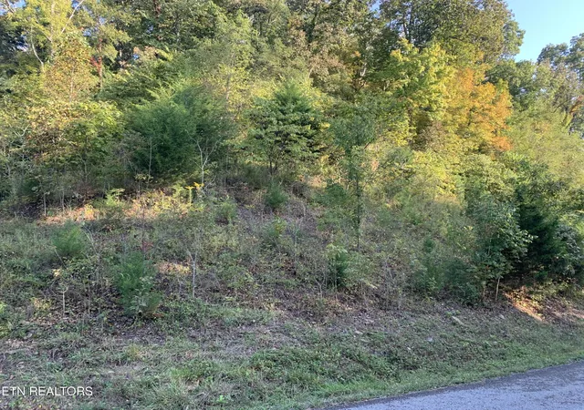Homes for sale in Sharps Chapel, TN | 0 Russell Brothers Rd #732, Sharps Chapel, TN 37866 | MLS# 1347288