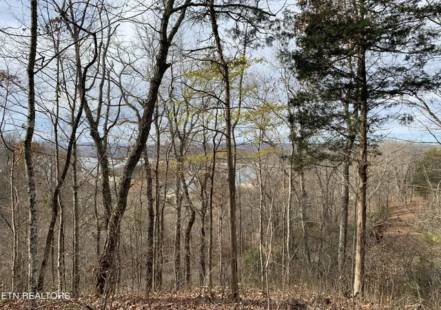 Homes for sale in Sharps Chapel, TN | 0 Russell Brothers Rd #732, Sharps Chapel, TN 37866 | MLS# 1347288