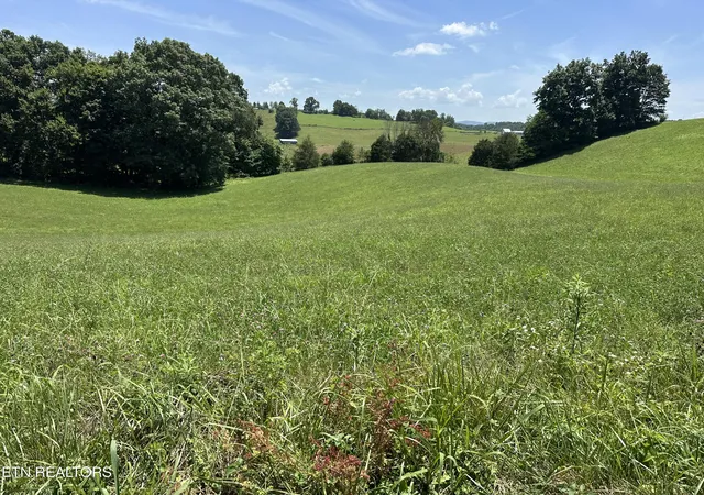 Homes for sale in Rose Hill, VA | 140 Cheak Dr, Rose Hill, VA 24281 | MLS# 1346999