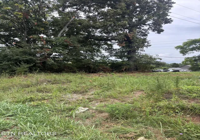 1st image of 107 Long Powers Rd, Friendsville, TN 37737 | MLS# 1347889