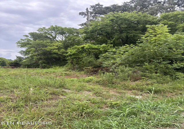 2nd image of 107 Long Powers Rd, Friendsville, TN 37737 | MLS# 1347889
