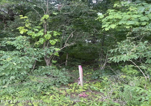 3rd image of 107 Long Powers Rd, Friendsville, TN 37737 | MLS# 1347889