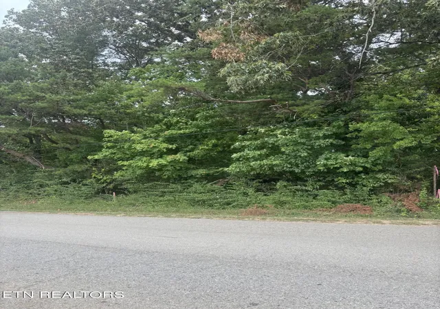 4th image of 107 Long Powers Rd, Friendsville, TN 37737 | MLS# 1347889