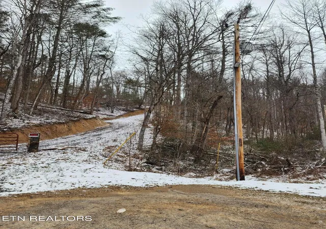 19th image of 000 Tiger Lilly Dr, Cosby, TN 37722 | MLS# 1347019