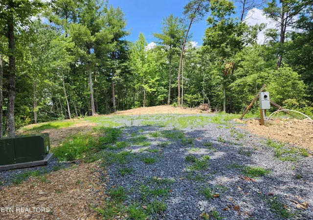3rd image of 000 Tiger Lilly Dr, Cosby, TN 37722 | MLS# 1347019