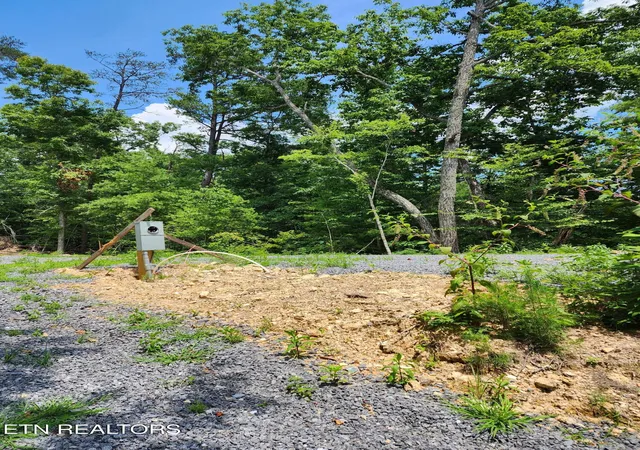 4th image of 000 Tiger Lilly Dr, Cosby, TN 37722 | MLS# 1347019