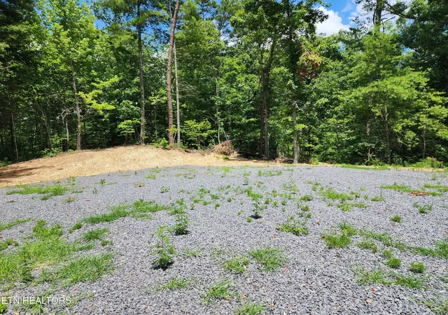 5th image of 000 Tiger Lilly Dr, Cosby, TN 37722 | MLS# 1347019