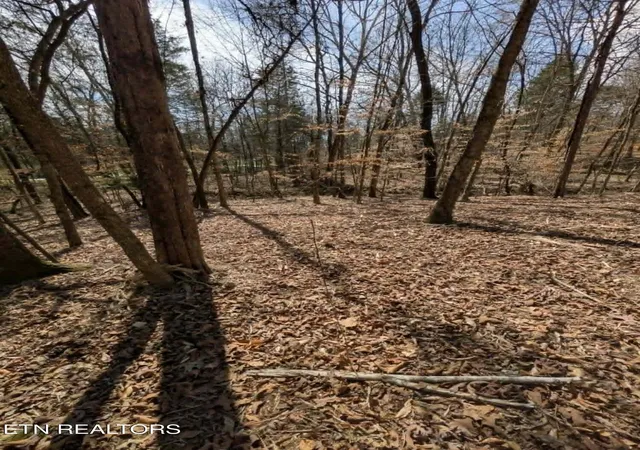 Homes for sale in Loudon, TN | 125 Pinecrest Dr, Loudon, TN 37774 | MLS# 1347075