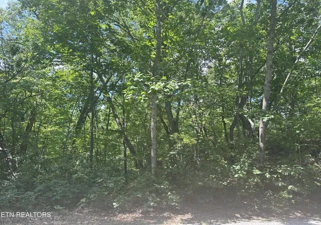 Homes for sale in Crossville, TN | 609 Saint George Dr, Crossville, TN 38558 | MLS# 1347650