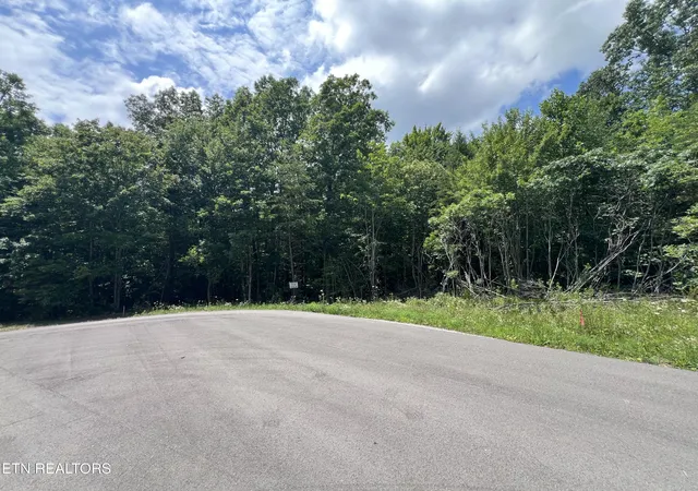 Homes for sale in Grimsley, TN | Lot 200 Elzies Wy, Grimsley, TN 38565 | MLS# 1347122