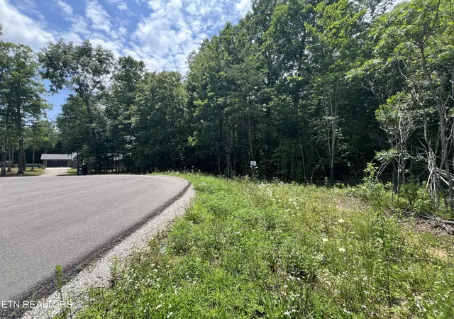 Homes for sale in Grimsley, TN | Lot 200 Elzies Wy, Grimsley, TN 38565 | MLS# 1347122