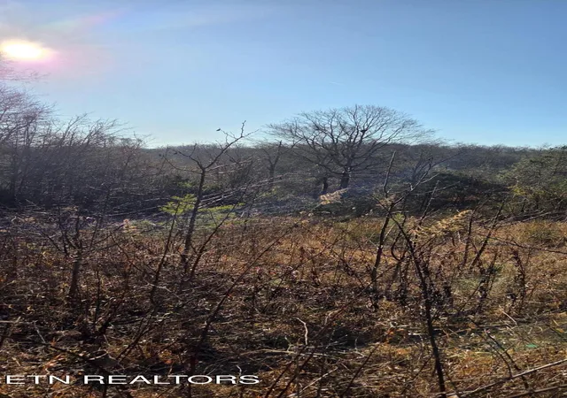 Homes for sale in Madisonville, TN | Lot 3 Sugar Maple Ct, Madisonville, TN 37354 | MLS# 1347205