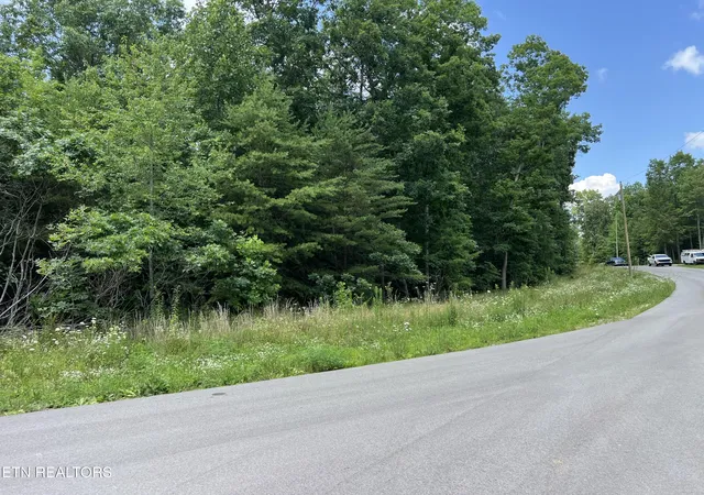 Homes for sale in Grimsley, TN | Lot 201 Elzies Wy, Grimsley, TN 38565 | MLS# 1347126