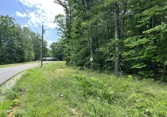 Homes for sale in Grimsley, TN | Lot 201 Elzies Wy, Grimsley, TN 38565 | MLS# 1347126