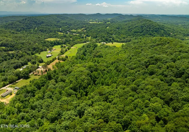 Photo 4 of Sale Pending at 1331 Mccammon Rd, Knoxville, TN 37920 | MLS# 1347161 | Listing updated on 2026-09-15