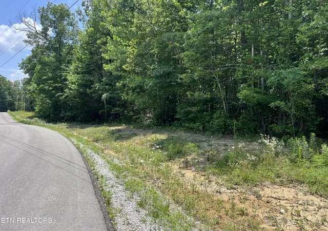 Homes for sale in Grimsley, TN | Lot 202 Elzies Wy, Grimsley, TN 38565 | MLS# 1347147