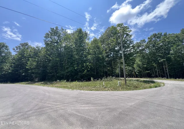 Homes for sale in Grimsley, TN | Lot 202 Elzies Wy, Grimsley, TN 38565 | MLS# 1347147