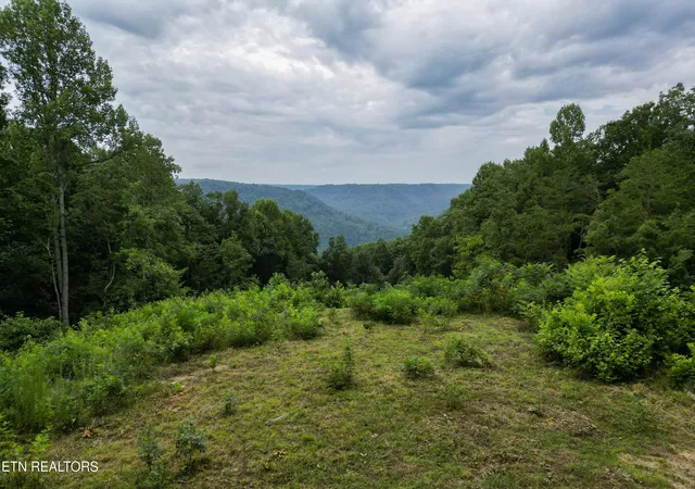 Homes for sale in Wilder, TN | 722 Flat Top View Ln, Wilder, TN 38589 | MLS# 1347318