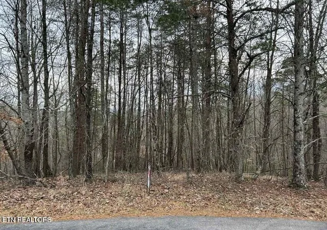 Homes for sale in Ten Mile, TN | Black Hawk Dr, Ten Mile, TN 37880 | MLS# 1347189