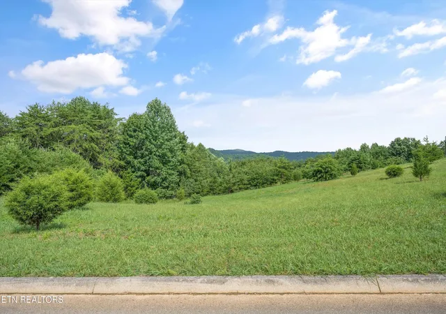 Homes for sale in Kingston, TN | Melea Ln, Kingston, TN 37763 | MLS# 1347207