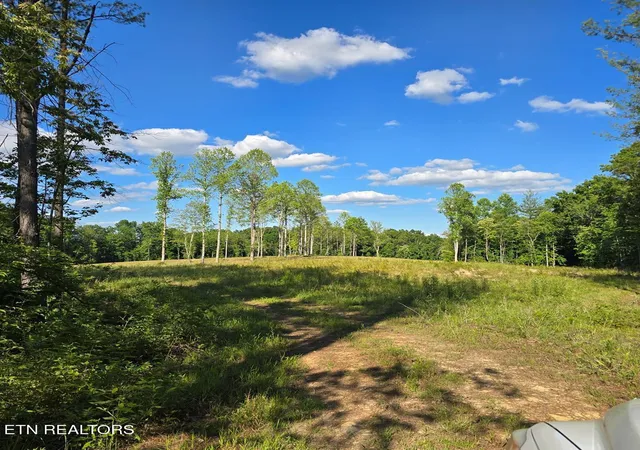 Homes for sale in Sunbright, TN | 944 Ac Red Hill Rd, Sunbright, TN 37872 | MLS# 1347195