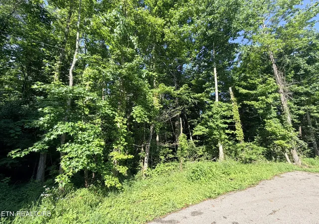 Homes for sale in Oneida, TN | 0 Dogwood Ave, Oneida, TN 37841 | MLS# 1347235