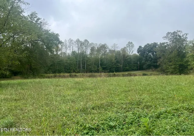 Homes for sale in Oneida, TN | 0 Dogwood Ave, Oneida, TN 37841 | MLS# 1347235