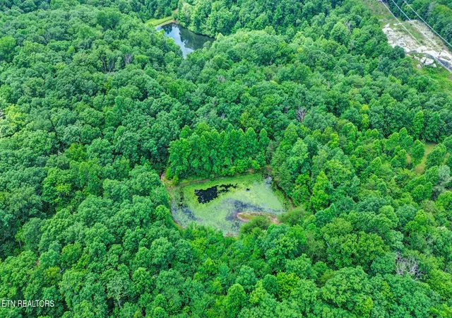 Photo 3 of Land for sale at 16147 Hwy 70n, Monterey, TN 38574 | MLS# 1347495 | Listing updated on 2026-08-24