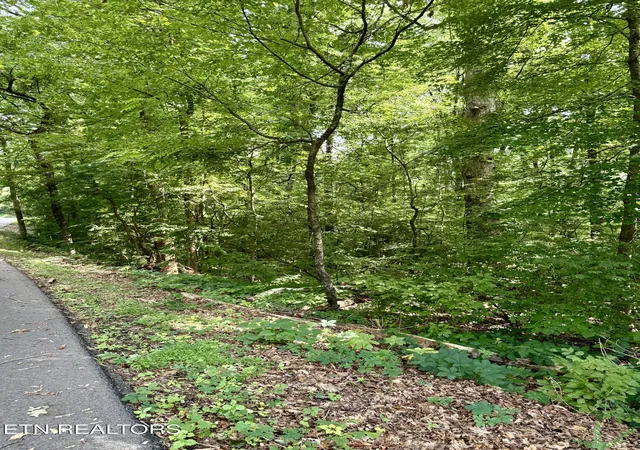 Homes for sale in Sweetwater, TN | 0 Edgewood Dr, Sweetwater, TN 37874 | MLS# 1347294