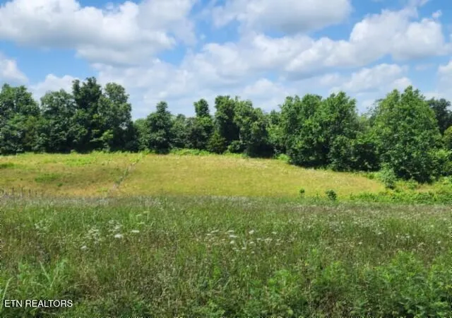 Homes for sale in Red Boiling Springs, TN | Lot 10 Rose Hill Ed Rd, Red Boiling Springs, TN 37150 | MLS# 1347298