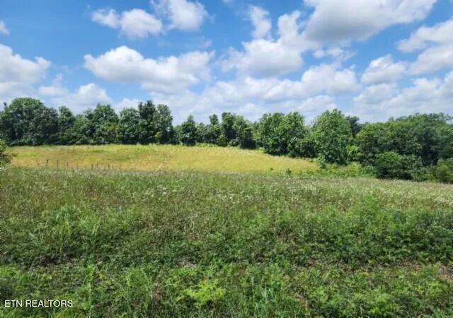Homes for sale in Red Boiling Springs, TN | Lot 10 Rose Hill Ed Rd, Red Boiling Springs, TN 37150 | MLS# 1347298