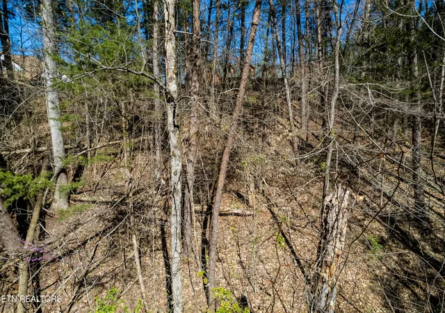 Homes for sale in Maryville, TN | Indian Shadows Dr Lot 112, Maryville, TN 37801 | MLS# 1347536