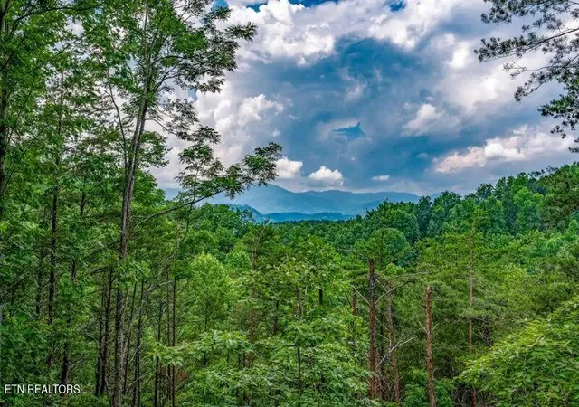Homes for sale in Gatlinburg, TN | 712 Octagon Dr, Gatlinburg, TN 37738 | MLS# 1347381