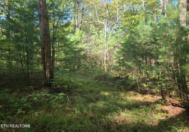 Homes for sale in Sunbright, TN | Hannah Davidson Rd, Sunbright, TN 37872 | MLS# 1347426