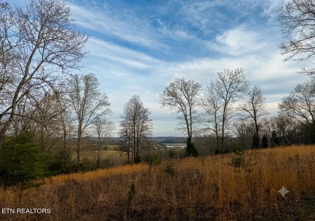16th image of 0 Pin Hook Rd, Spring City, TN 37381 | MLS# 1347630