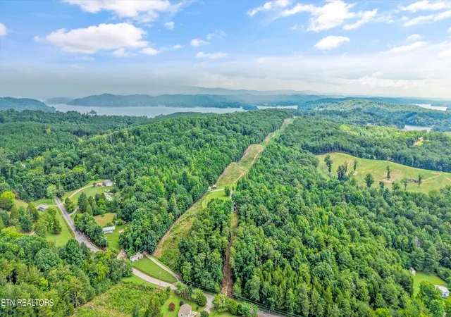 Photo 4 of Land for sale at 0 Pin Hook Rd, Spring City, TN 37381 | MLS# 1347630 | Listing updated on 2026-08-10