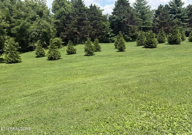 25th image of 8658 Denmark St, Knoxville, TN 37931 | MLS# 1347496